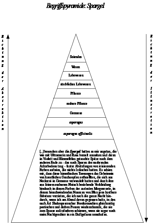 Begriffspyramide Spargel